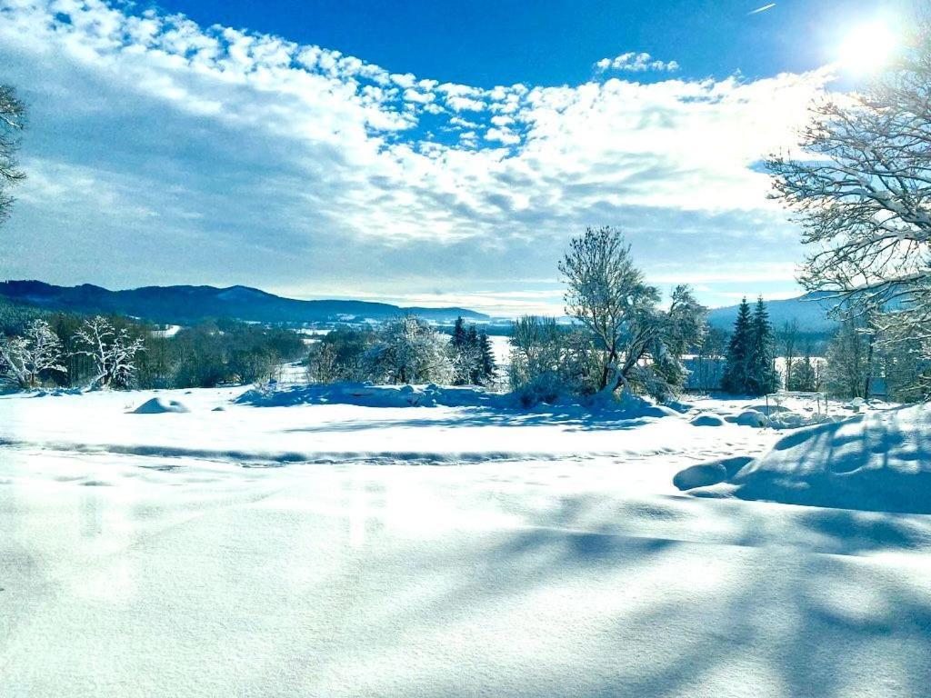 Apartmany Na Vysluni Sumava - U Lipy Volary Dış mekan fotoğraf
